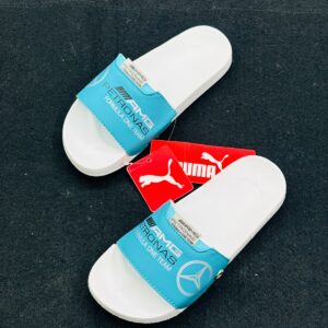 Premium Mercedes-AMG Petronas Motorsport Slides